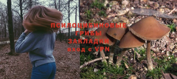 прущие крисы Белоозёрский