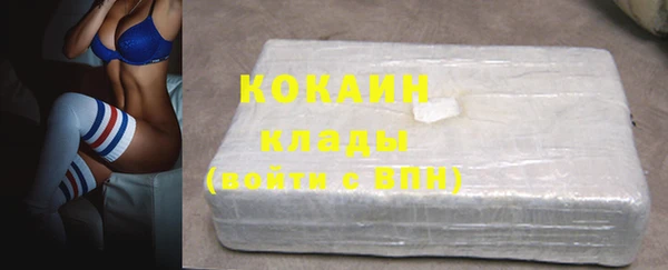крисы Белокуриха