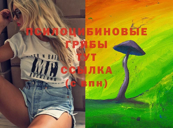 прущие крисы Белоозёрский