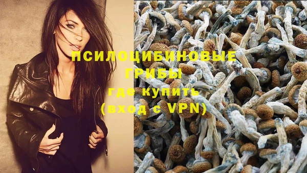 MDMA Беломорск