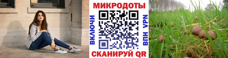 Псилоцибиновые грибы мицелий  Щучье 